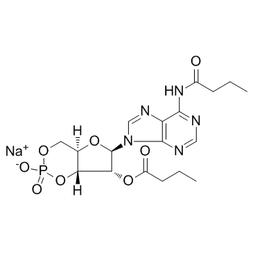 N6,2'-O-二丁?；佘?',5'-環(huán)磷酸鈉鹽